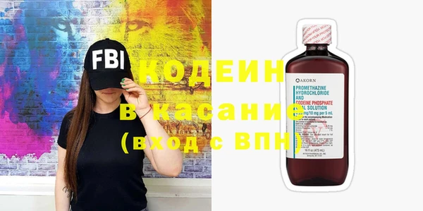 прущие грибы Бородино