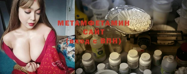 прущие грибы Бородино