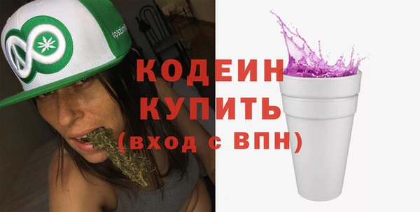 прущие грибы Бородино