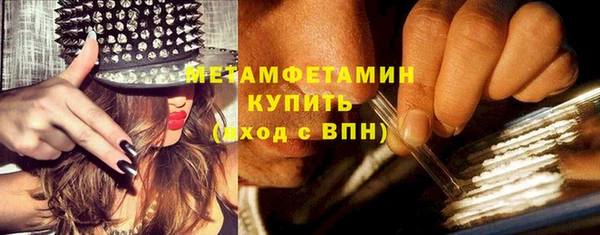 прущие грибы Бородино
