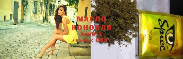 прущие грибы Бородино